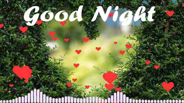 I Love You Good Night Video Song Download Asktiming